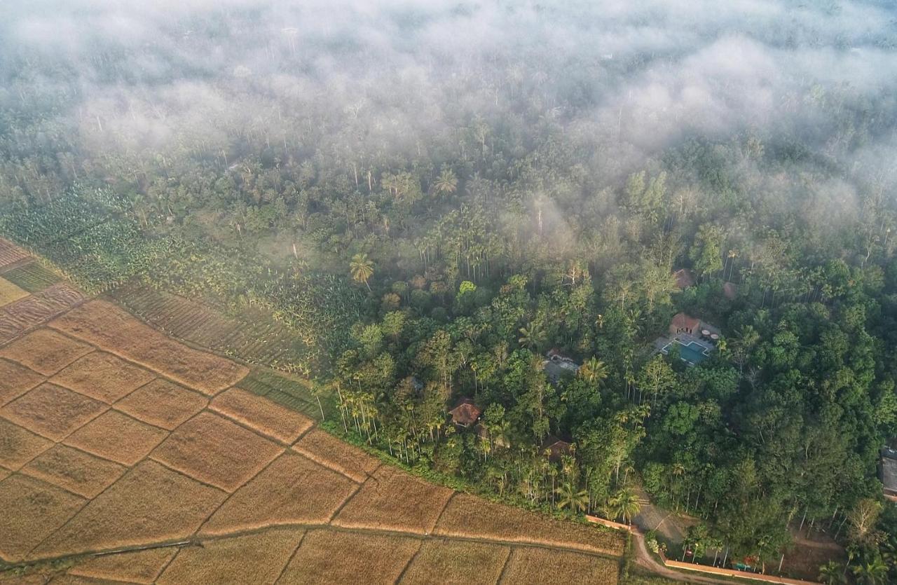 Raindrops Resorts Wayanad سلطان بتيري المظهر الخارجي الصورة