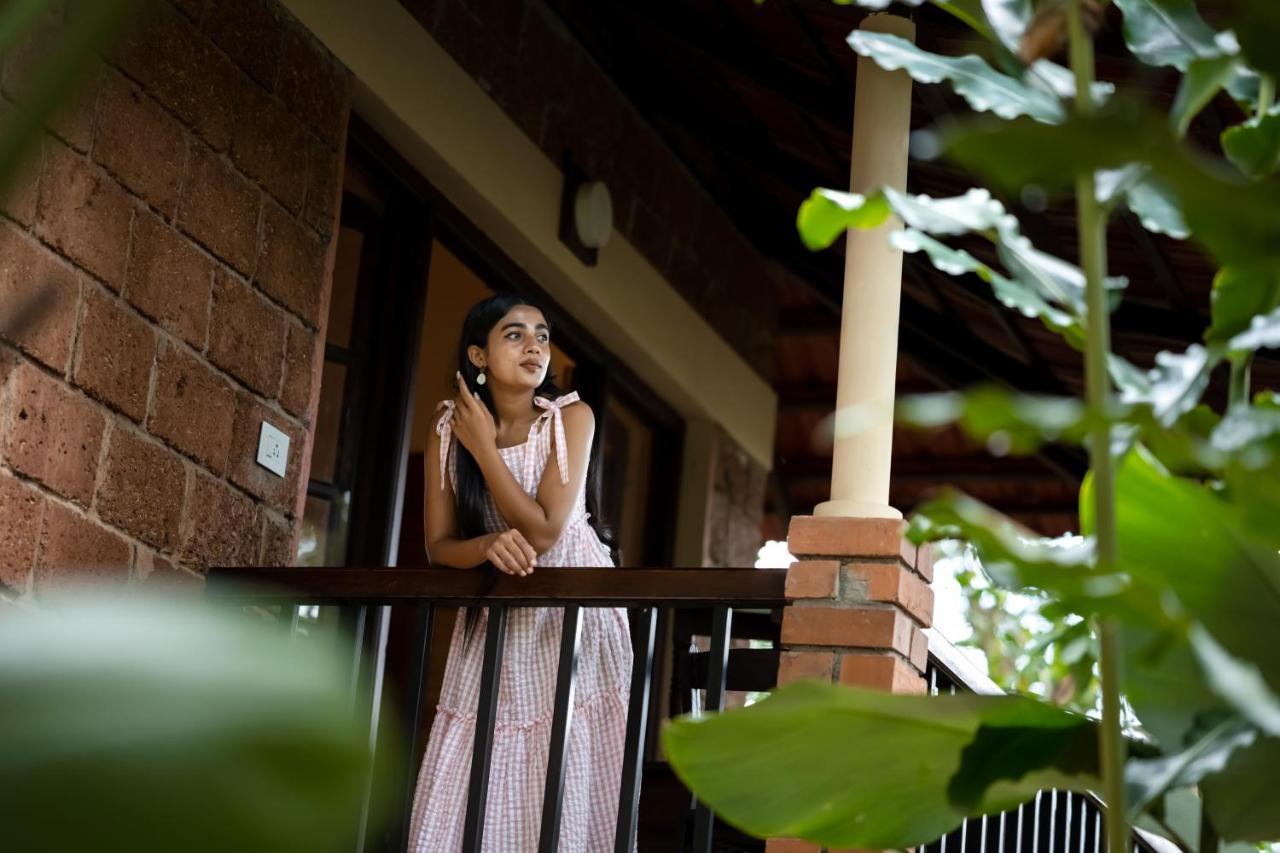 Raindrops Resorts Wayanad سلطان بتيري المظهر الخارجي الصورة