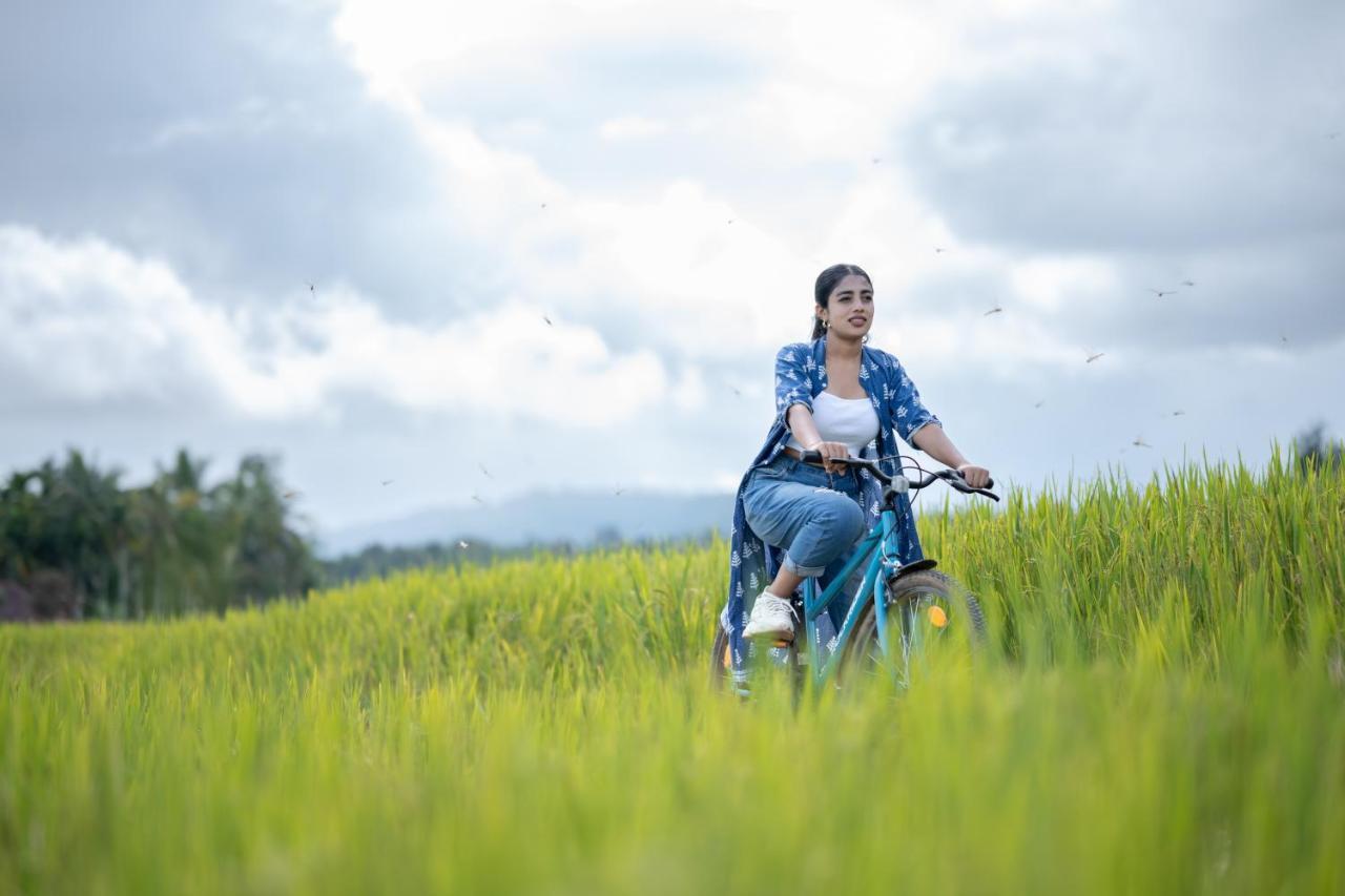 Raindrops Resorts Wayanad سلطان بتيري المظهر الخارجي الصورة