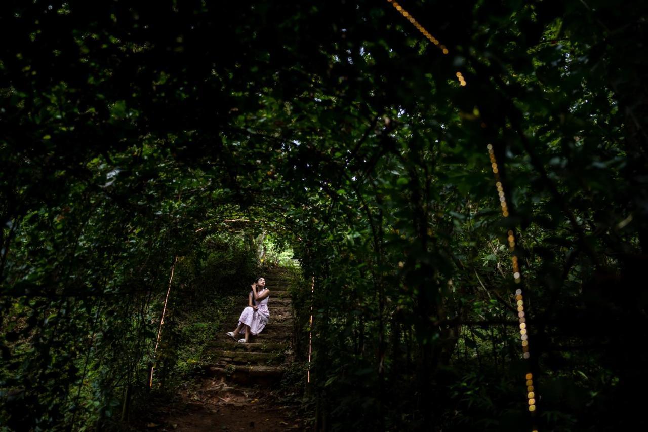 Raindrops Resorts Wayanad سلطان بتيري المظهر الخارجي الصورة