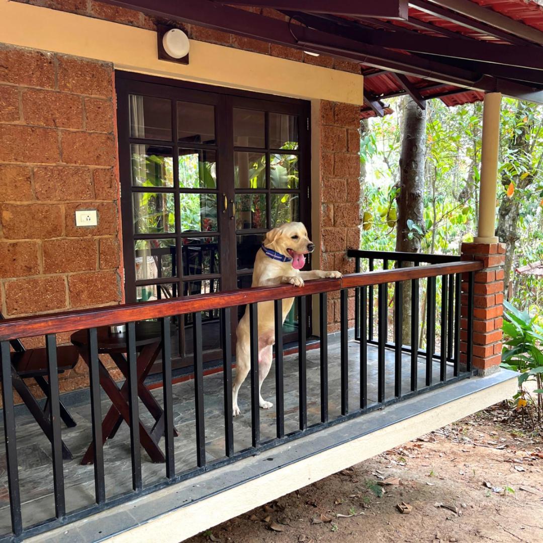 Raindrops Resorts Wayanad سلطان بتيري المظهر الخارجي الصورة