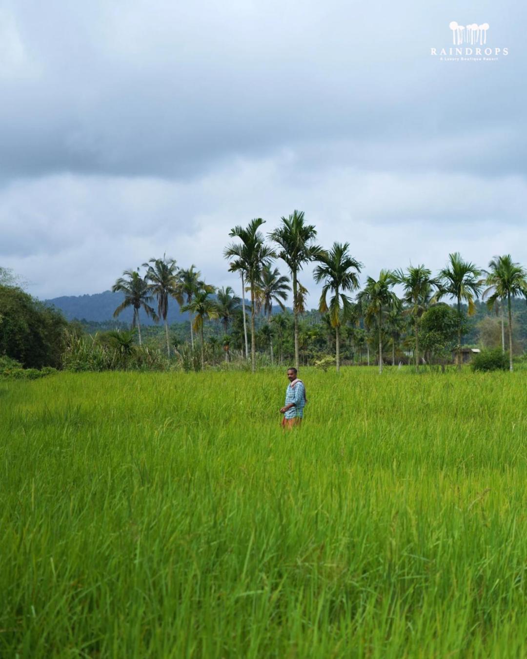 Raindrops Resorts Wayanad سلطان بتيري المظهر الخارجي الصورة