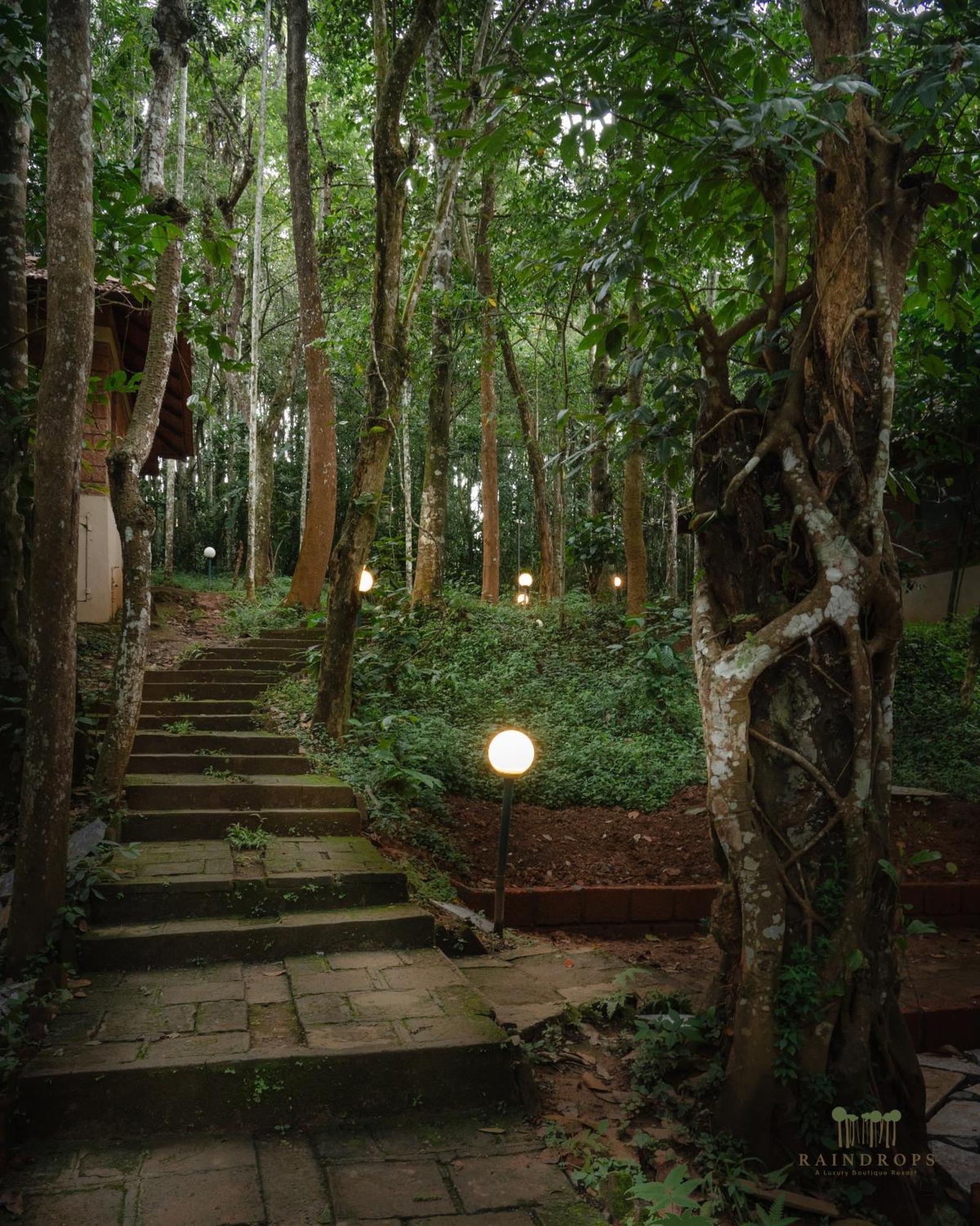 Raindrops Resorts Wayanad سلطان بتيري المظهر الخارجي الصورة