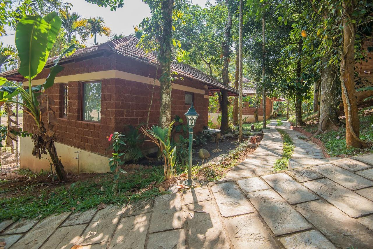 Raindrops Resorts Wayanad سلطان بتيري المظهر الخارجي الصورة