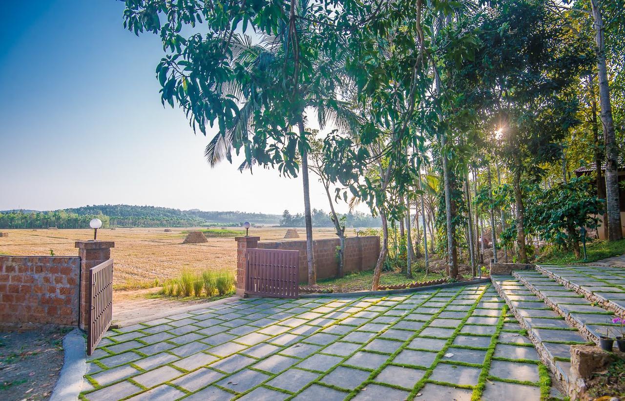 Raindrops Resorts Wayanad سلطان بتيري المظهر الخارجي الصورة