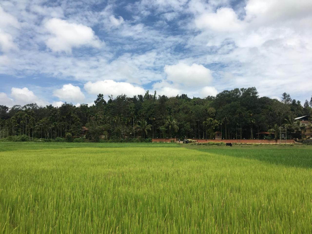 Raindrops Resorts Wayanad سلطان بتيري المظهر الخارجي الصورة