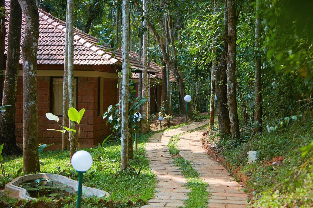 Raindrops Resorts Wayanad سلطان بتيري المظهر الخارجي الصورة