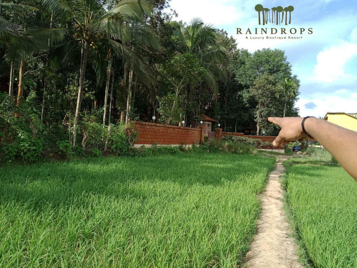 Raindrops Resorts Wayanad سلطان بتيري المظهر الخارجي الصورة